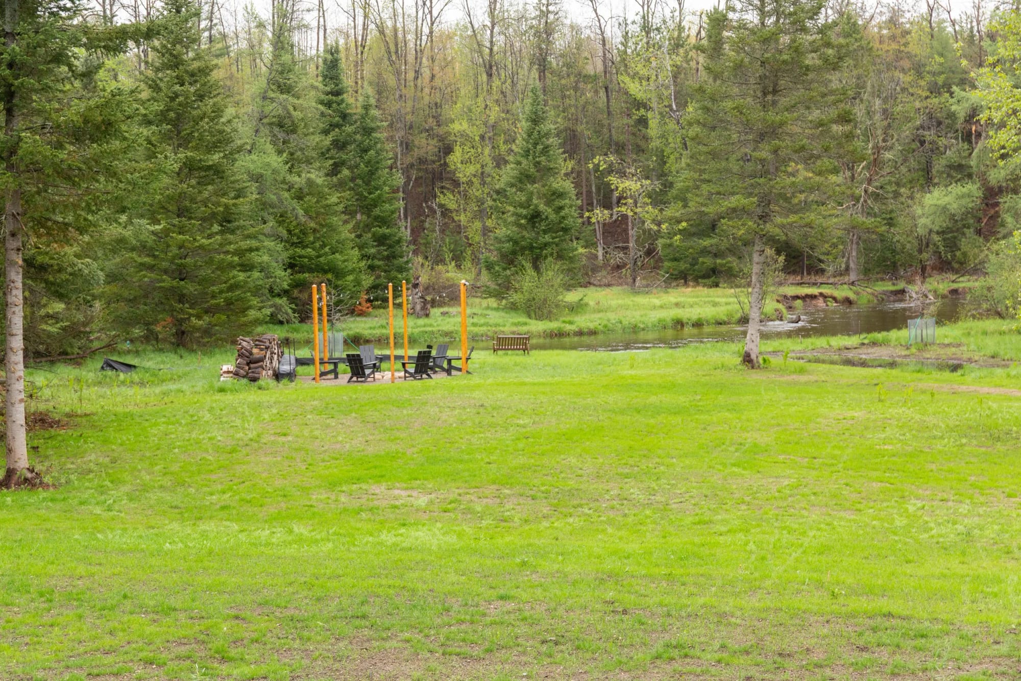 The firepit and lawn in front of the treeline